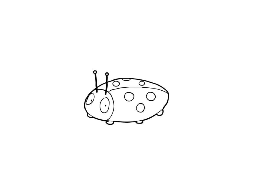 Coloring page ladybird