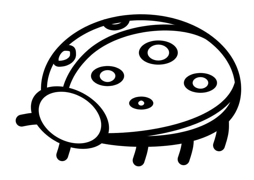 Coloring page ladybug