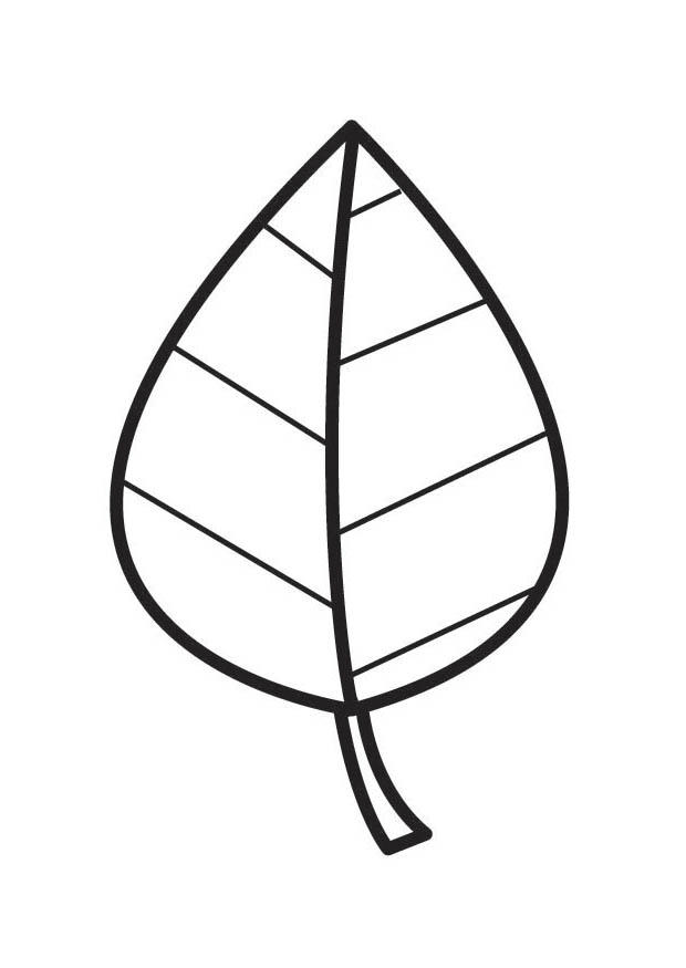 Coloring page leaf