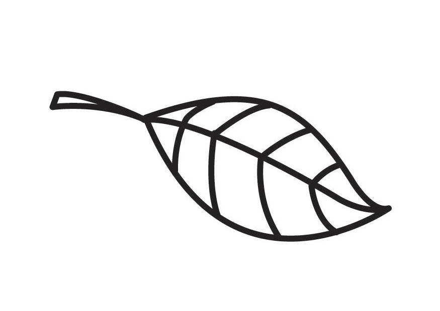 Coloring page leaf