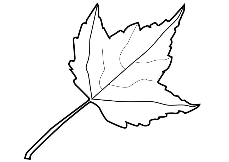 Coloring page leaf