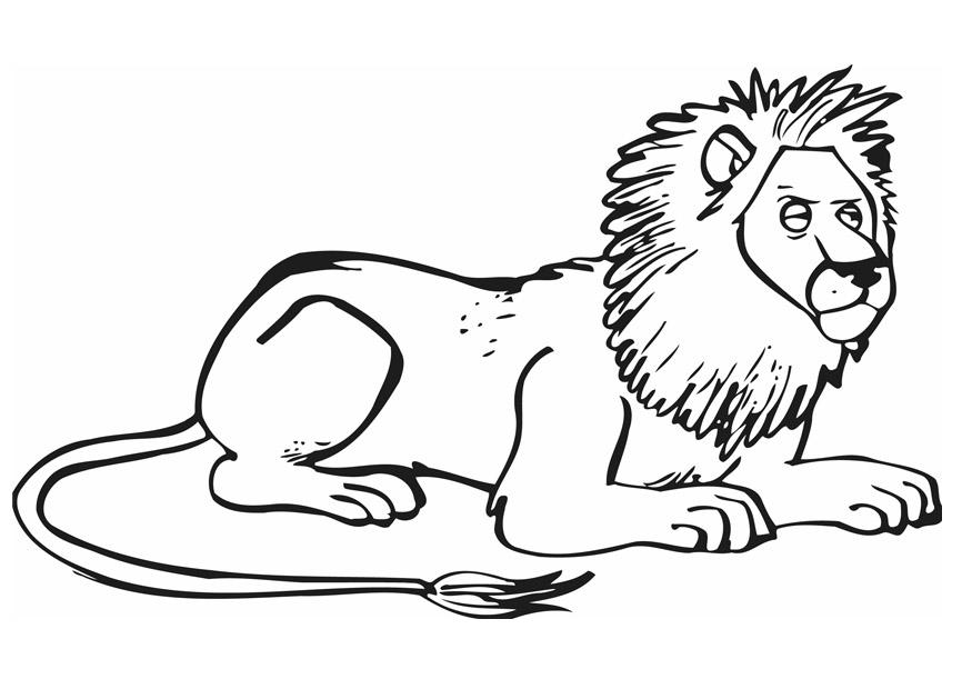 Coloring page lion