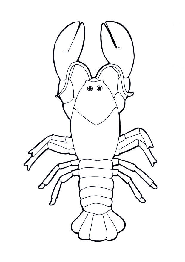 Coloring page lobster