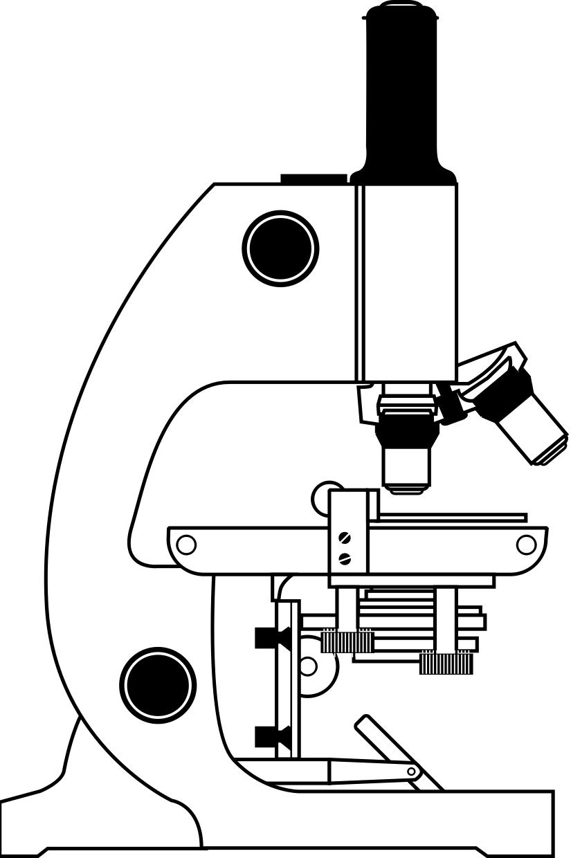 Coloring page microscope