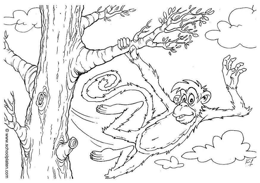 Coloring page monkey