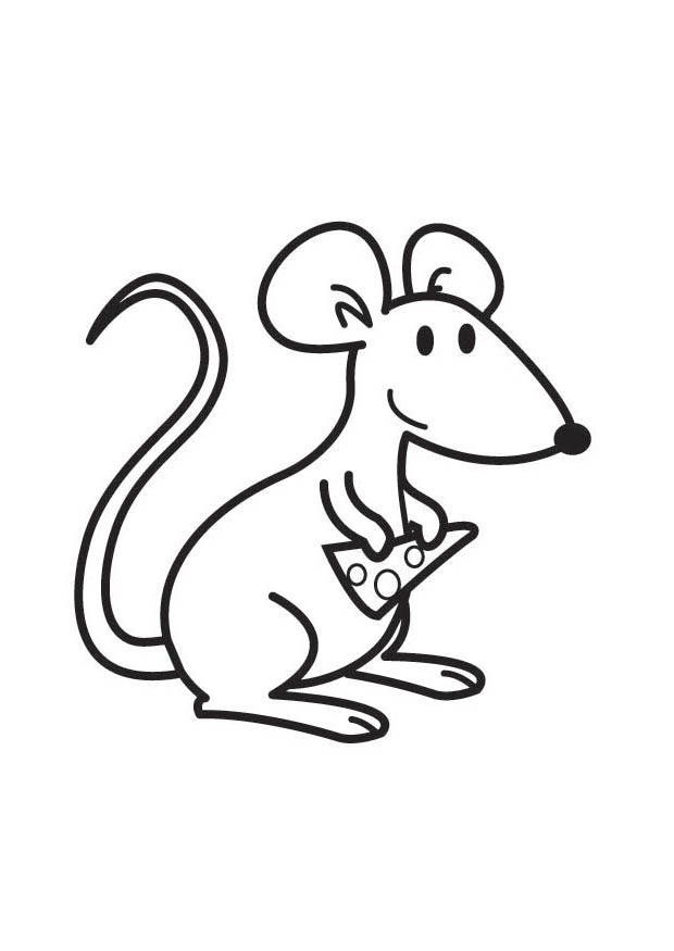 Coloring page mouse with cheese