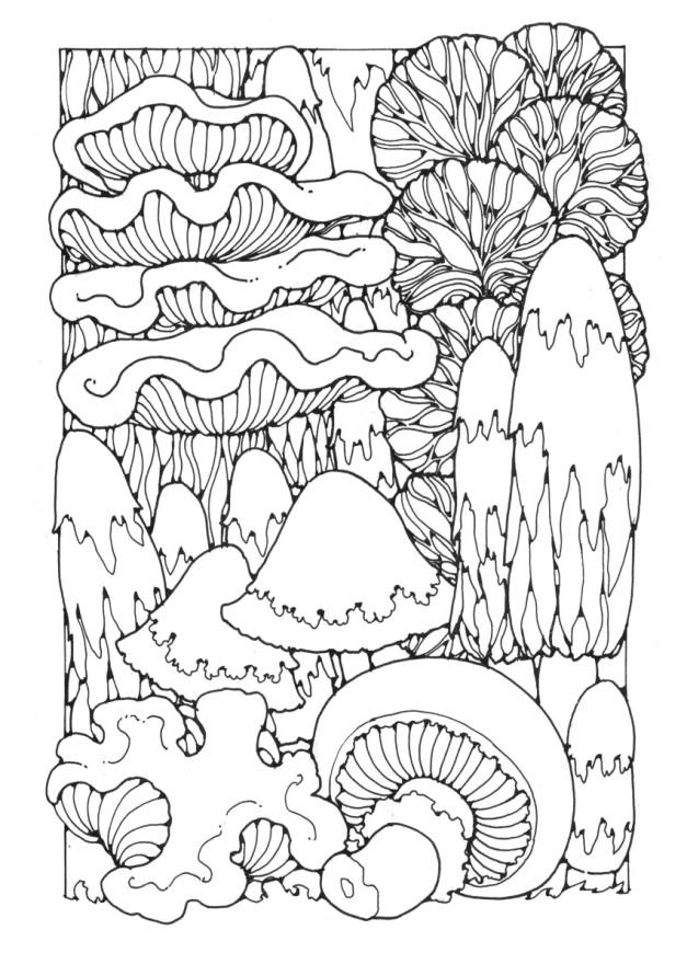 Coloring page mushrooms