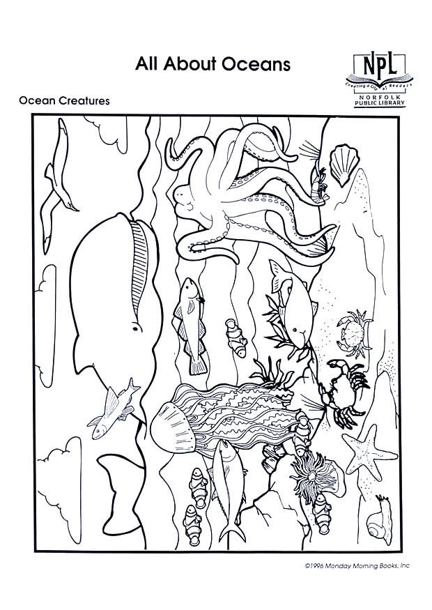 Coloring page ocean creatures