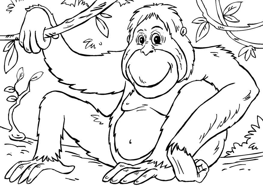 Coloring page orangutans