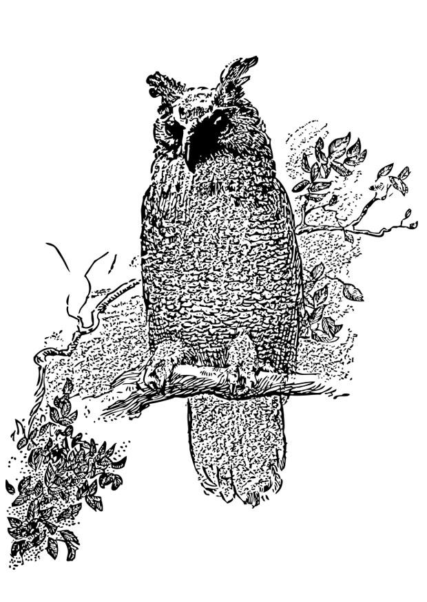 Coloring page owl