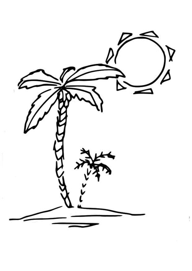 Coloring page palm tree