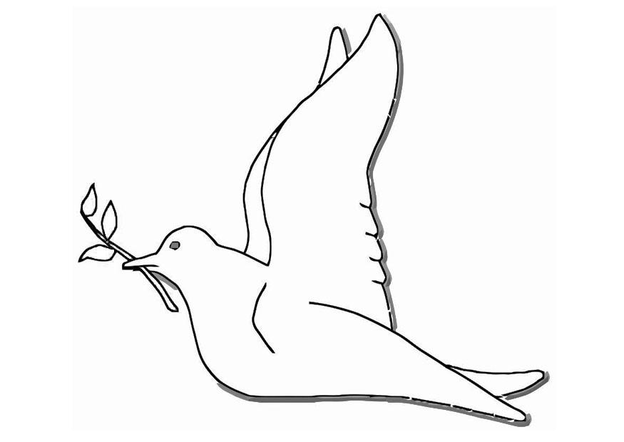 Coloring page peace dove