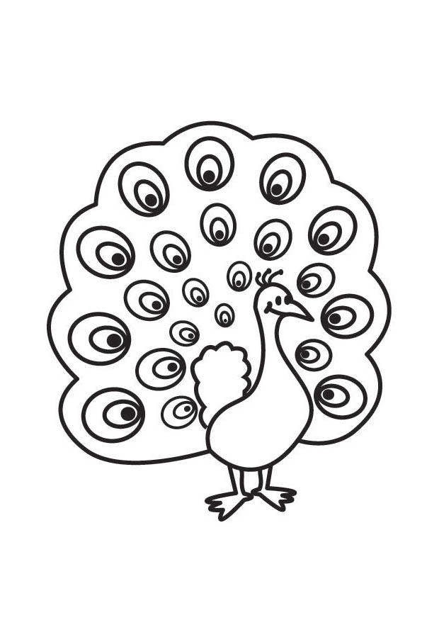 Coloring page peacock