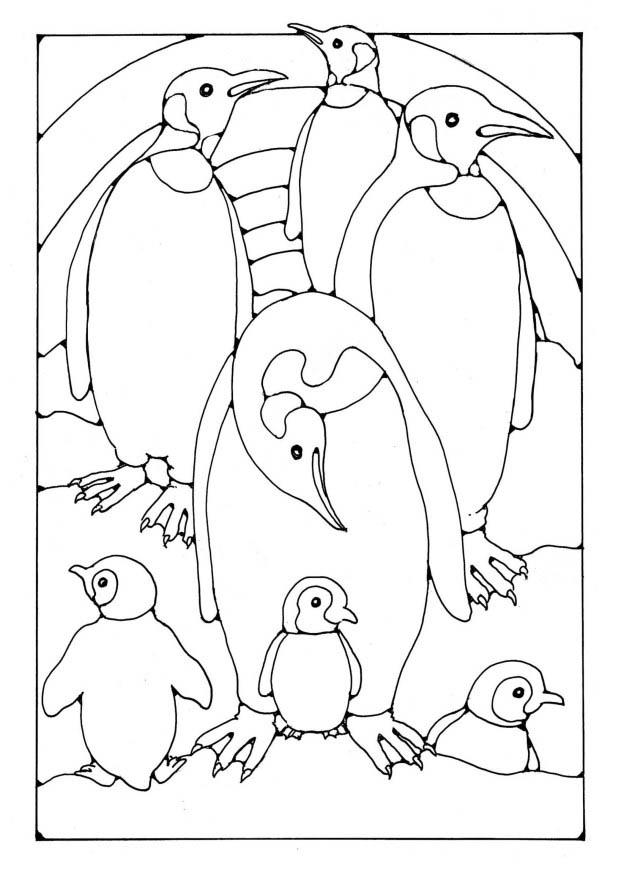 Coloring page penguin