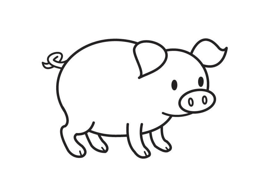 Coloring page pig