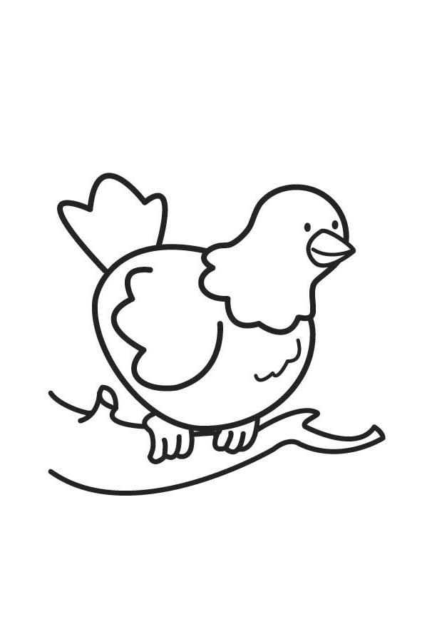 Coloring page pigeon