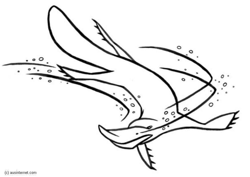 Coloring page platypus