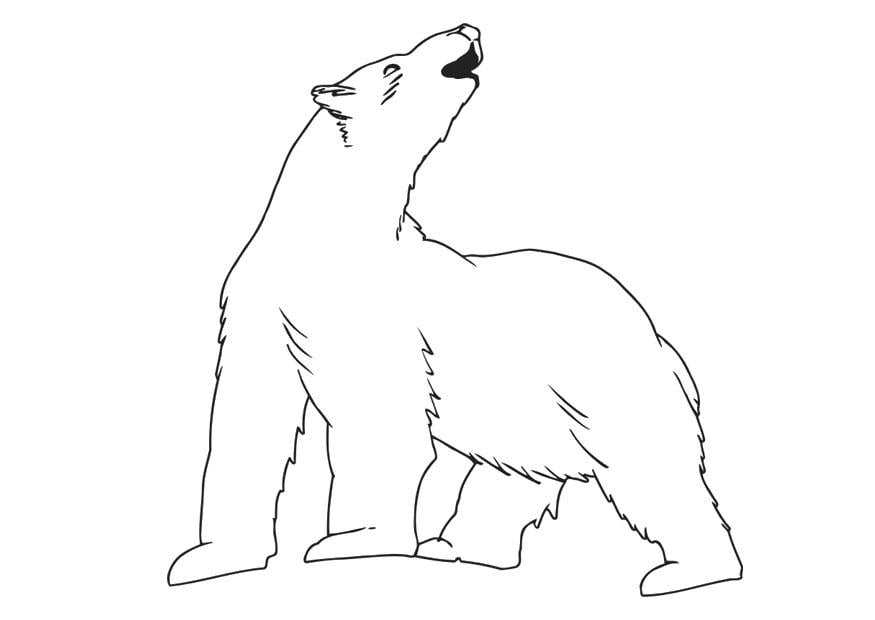 Coloring page polar bear