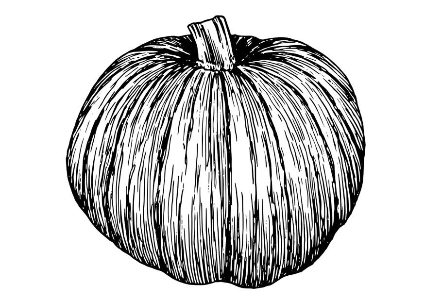 Coloring page pumpkin