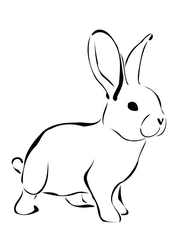 Coloring page rabbit