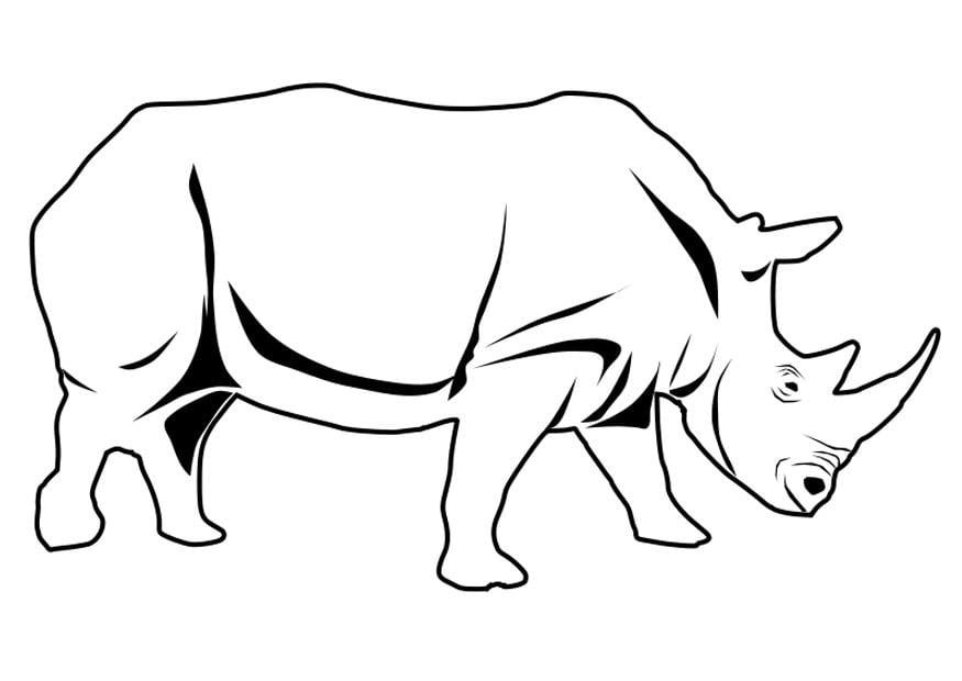 Coloring page rhinoceros