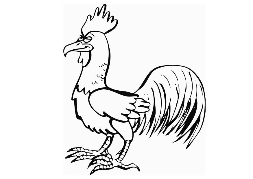 Coloring page rooster