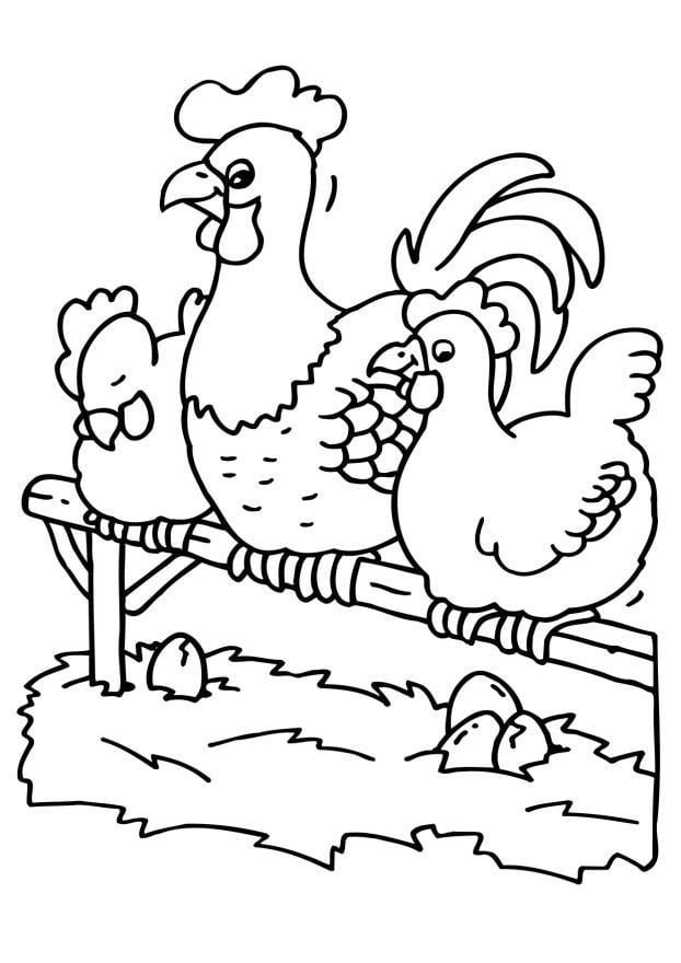 Coloring page rooster and chickens