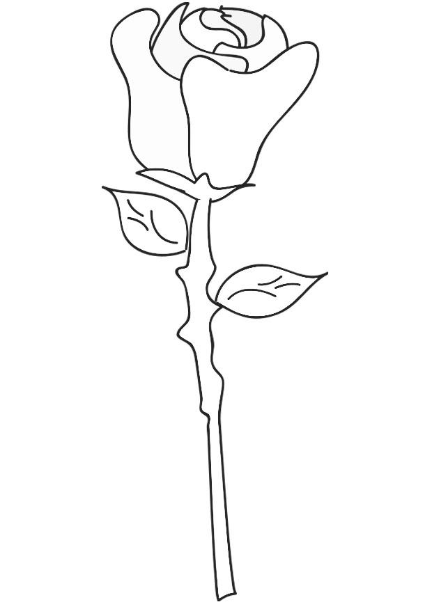 Coloring page rose