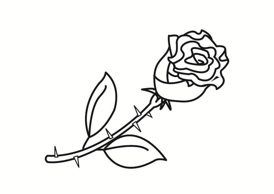 Coloring page rose