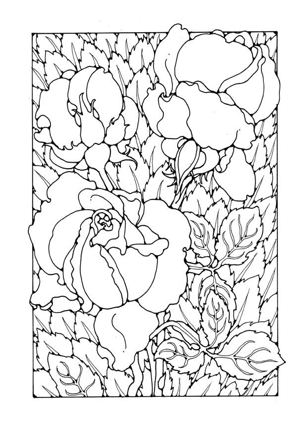 Coloring page roses