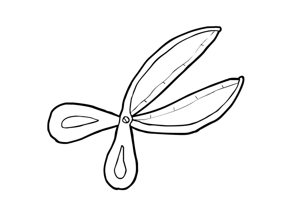 Coloring page scissor