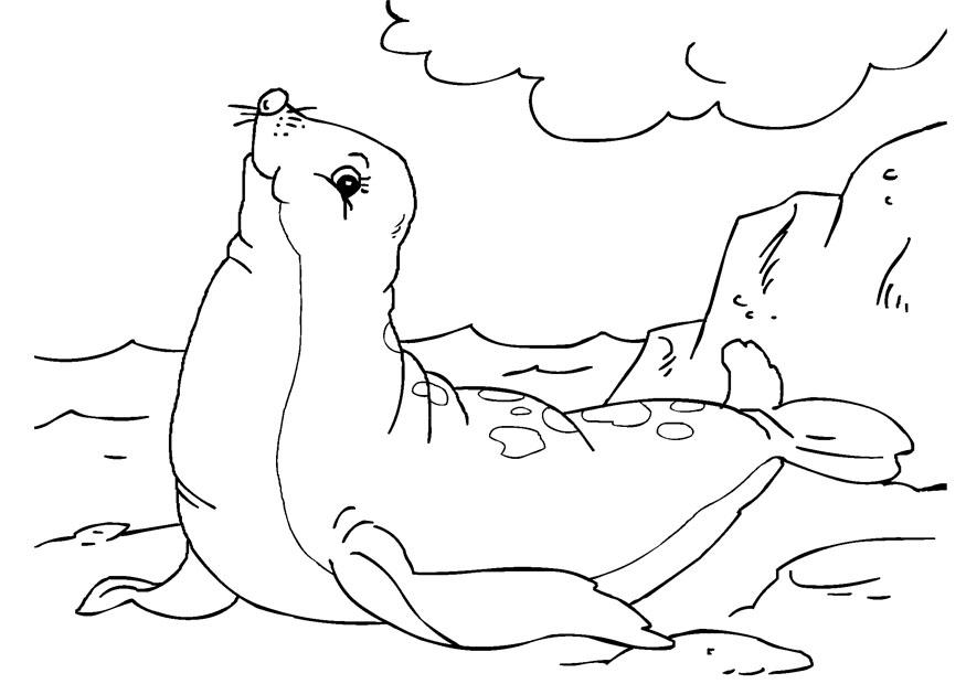 Coloring page seal