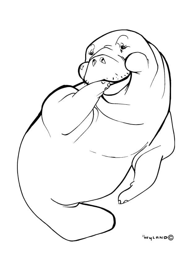 Coloring page seal