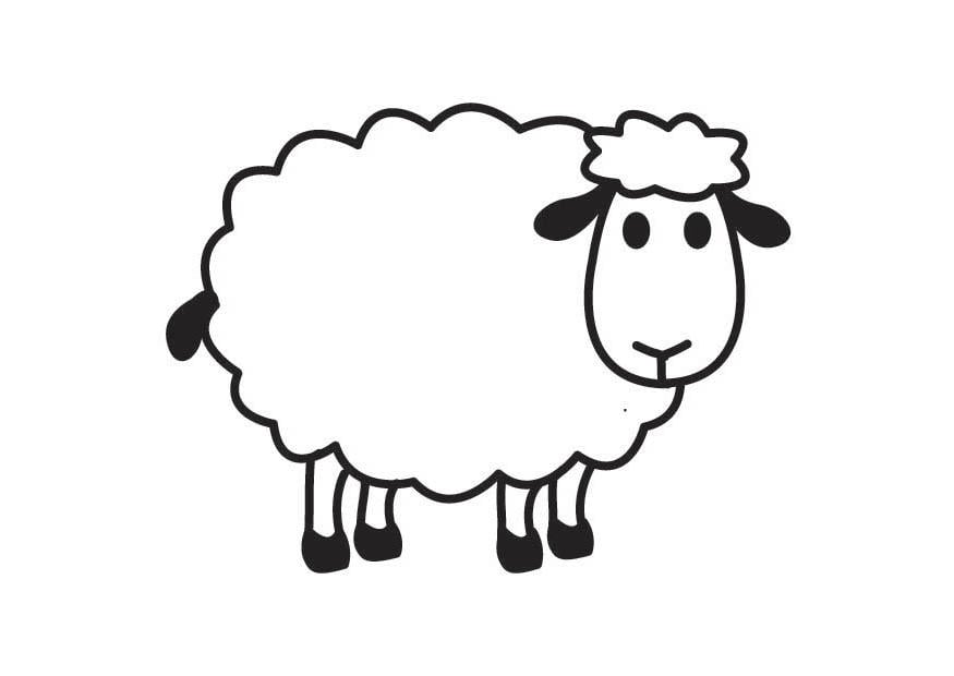 Coloring page sheep