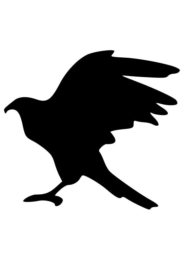 Coloring page silhouet eagle