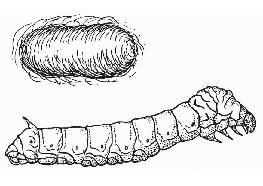 Coloring page silkworm with cocoon