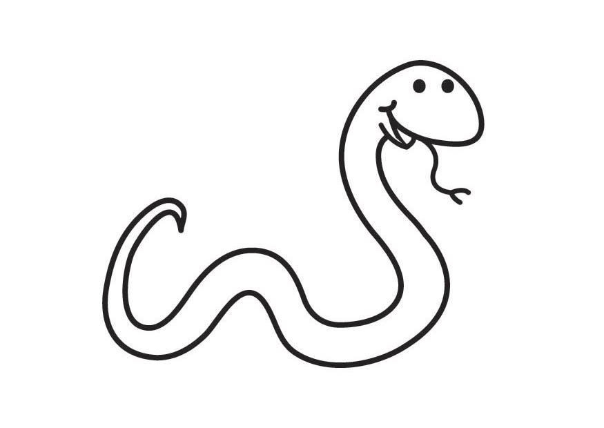 Coloring page snake