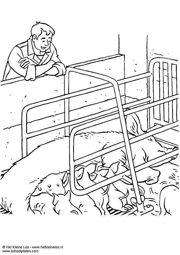 Coloring page sow with piglets