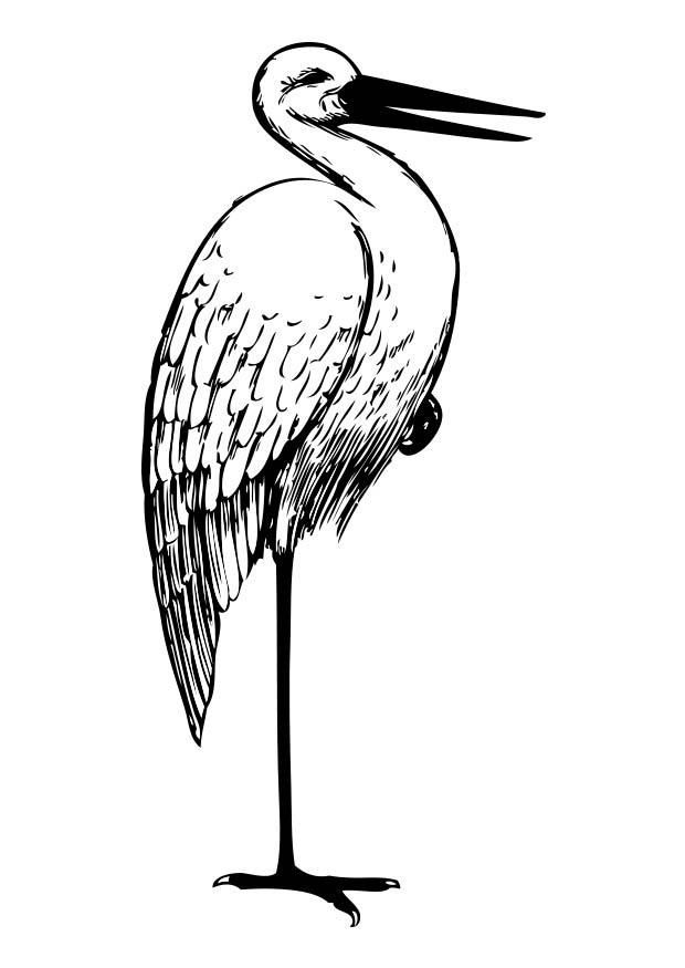 Coloring page stork