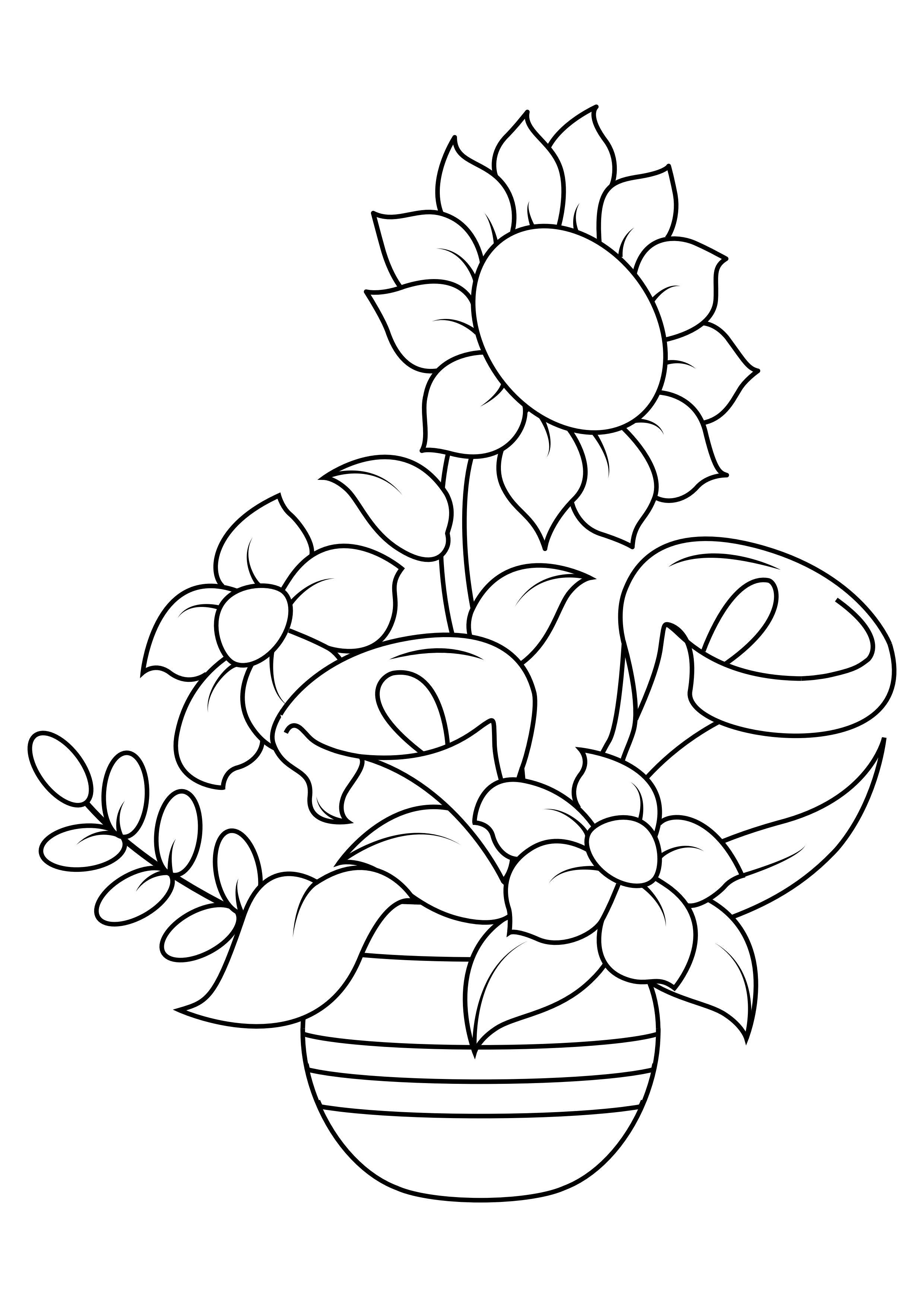 Coloring page sunflower