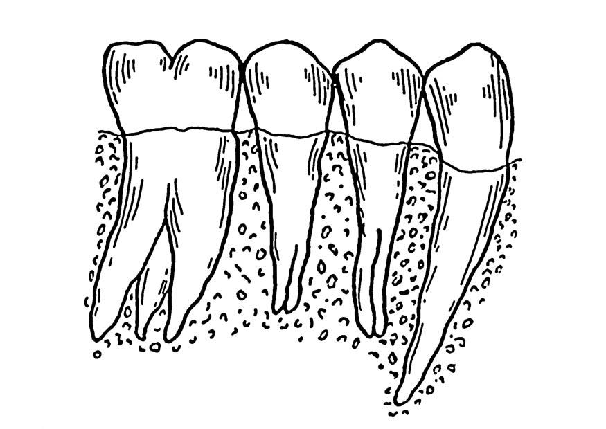 Coloring page teeth