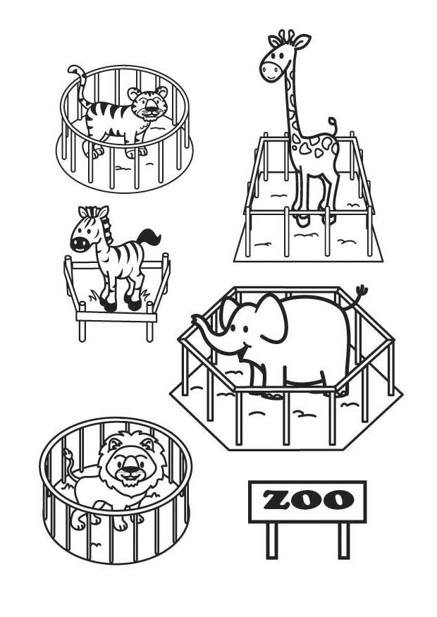 Coloring page the zoo