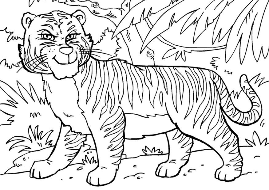 Coloring page tiger