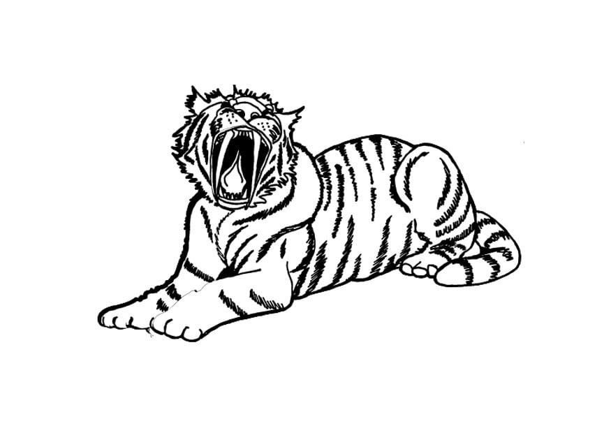 Coloring page tiger