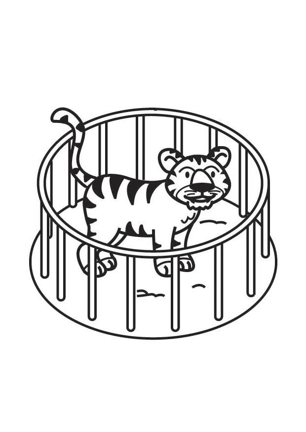 Coloring page tiger in cage