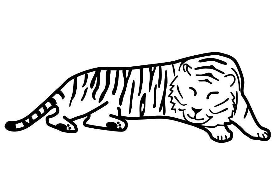 Coloring page tiger sleeping