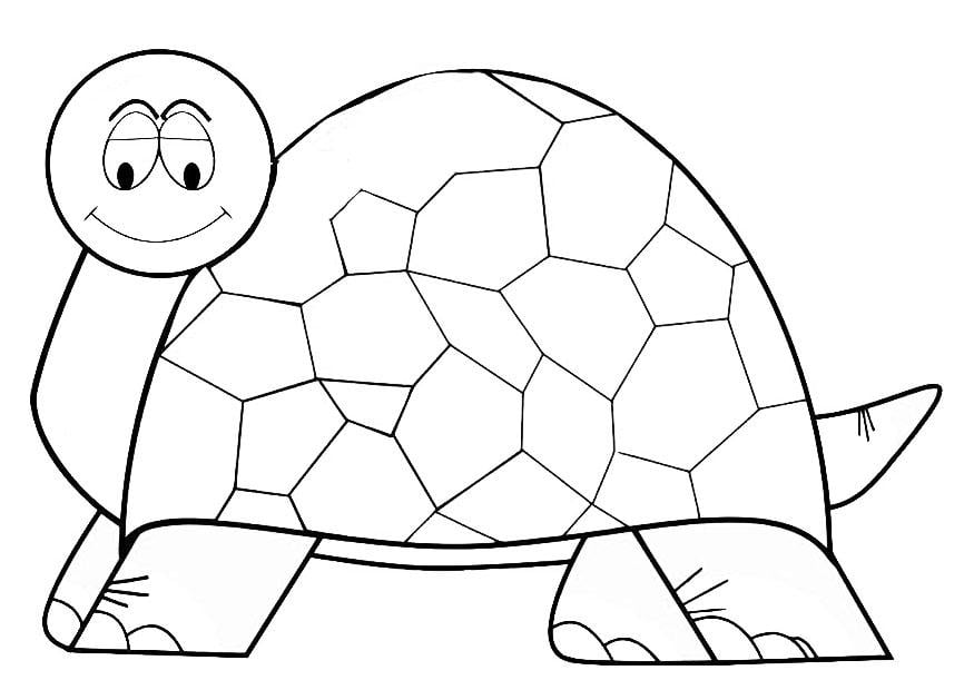 Coloring page tortoise