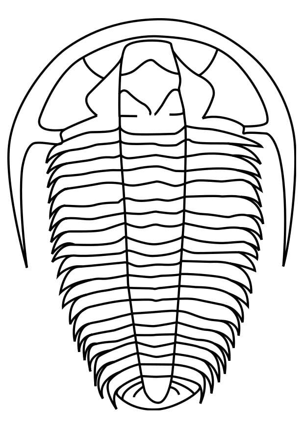 Coloring page trilobite