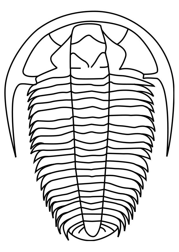 Coloring page trilobite