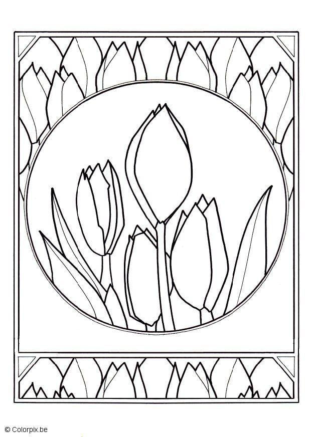 Coloring page tulips